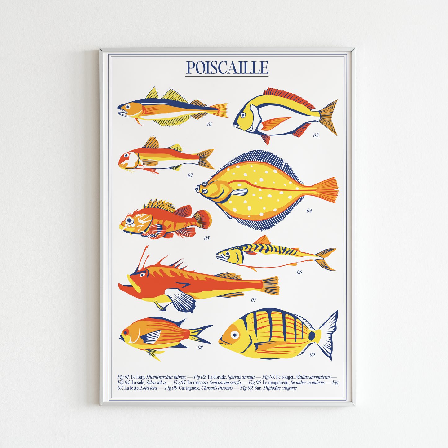 Affiche Poiscaille