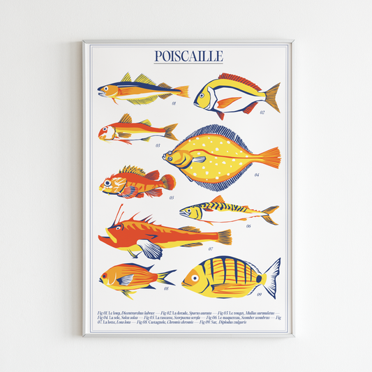 Affiche Poiscaille